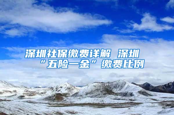 深圳社保繳費詳解 深圳“五險一金”繳費比例