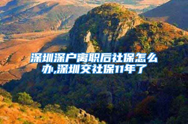 深圳深戶離職后社保怎么辦,深圳交社保11年了