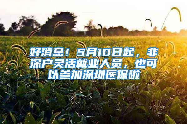 好消息！5月10日起，非深戶靈活就業(yè)人員，也可以參加深圳醫(yī)保啦