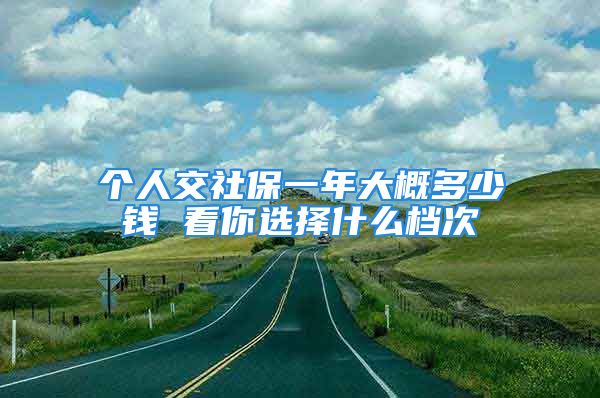 個(gè)人交社保一年大概多少錢(qián) 看你選擇什么檔次