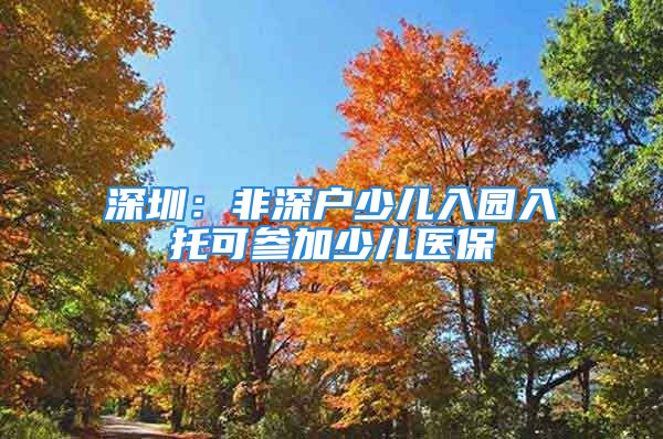 深圳：非深戶少兒入園入托可參加少兒醫(yī)保