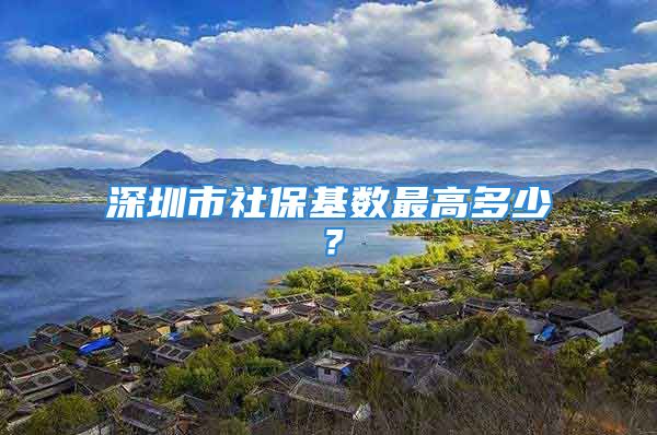 深圳市社?；鶖?shù)最高多少？