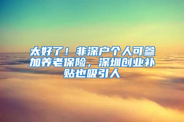 太好了！非深戶個人可參加養(yǎng)老保險(xiǎn)，深圳創(chuàng)業(yè)補(bǔ)貼也吸引人