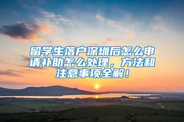 留學(xué)生落戶深圳后怎么申請(qǐng)補(bǔ)助怎么處理，方法和注意事項(xiàng)全解！