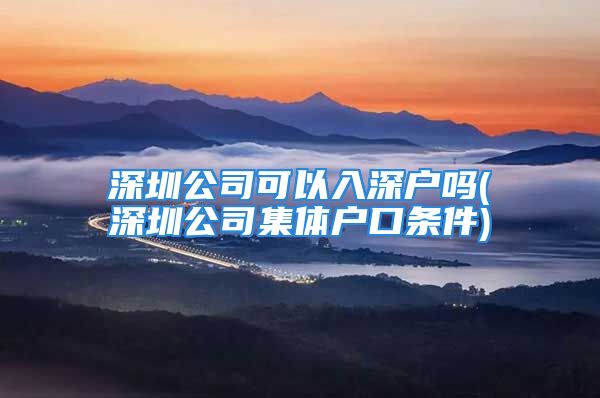 深圳公司可以入深戶嗎(深圳公司集體戶口條件)