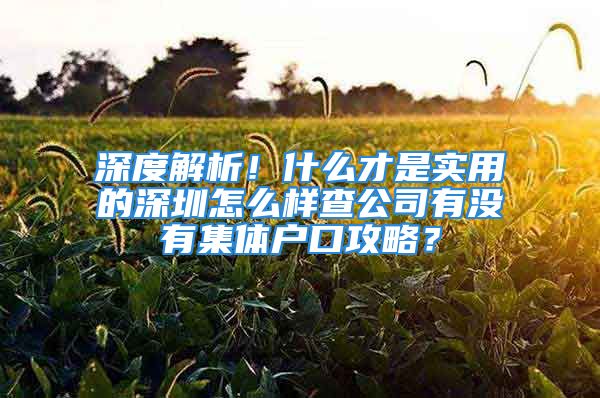 深度解析！什么才是實用的深圳怎么樣查公司有沒有集體戶口攻略？