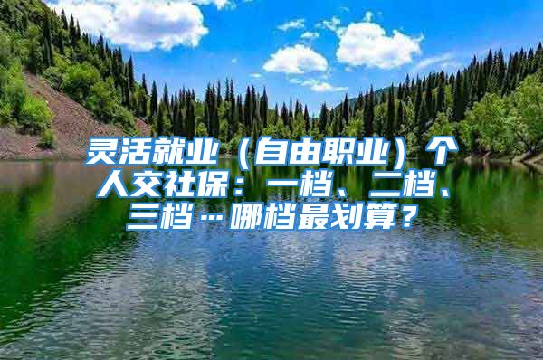 靈活就業(yè)（自由職業(yè)）個(gè)人交社保：一檔、二檔、三檔…哪檔最劃算？