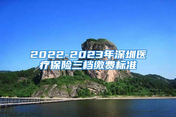 2022-2023年深圳醫(yī)療保險三檔繳費(fèi)標(biāo)準(zhǔn)