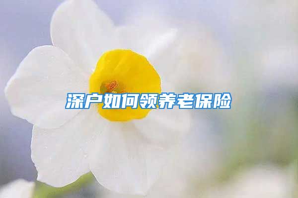 深戶如何領(lǐng)養(yǎng)老保險(xiǎn)