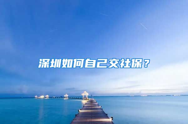 深圳如何自己交社保？