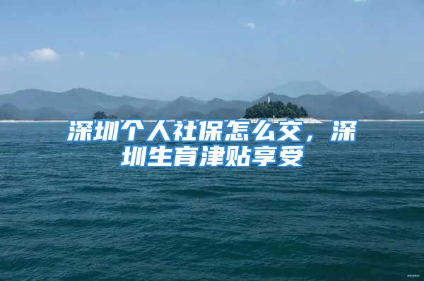 深圳個(gè)人社保怎么交，深圳生育津貼享受