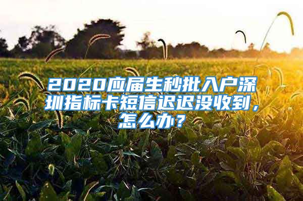 2020應(yīng)屆生秒批入戶深圳指標(biāo)卡短信遲遲沒收到，怎么辦？