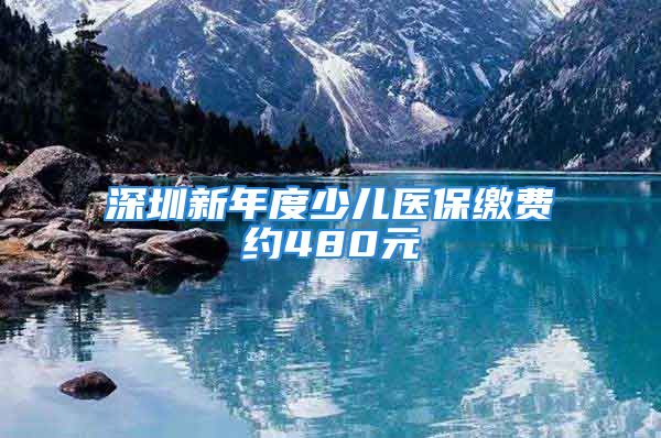 深圳新年度少兒醫(yī)保繳費約480元