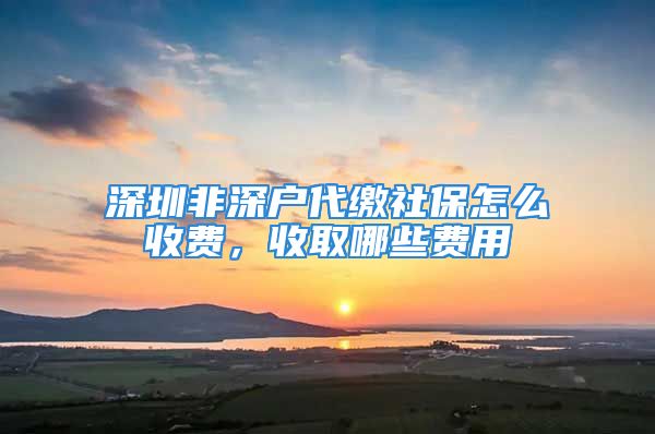 深圳非深戶代繳社保怎么收費，收取哪些費用