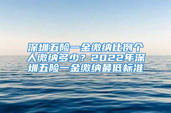 深圳五險一金繳納比例個人繳納多少？2022年深圳五險一金繳納最低標(biāo)準(zhǔn)