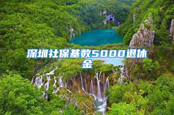 深圳社保基數(shù)5000退休金