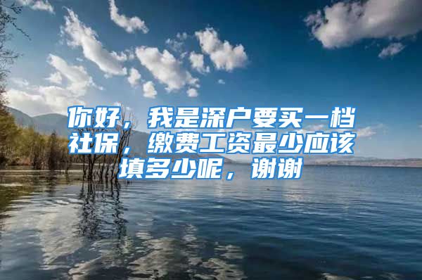 你好，我是深戶要買一檔社保，繳費工資最少應(yīng)該填多少呢，謝謝