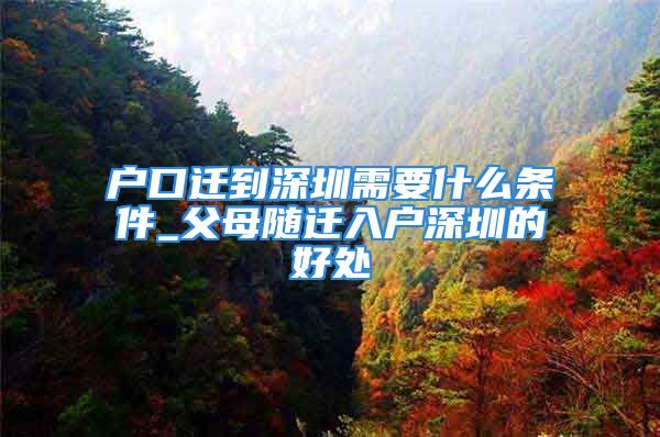 戶口遷到深圳需要什么條件_父母隨遷入戶深圳的好處