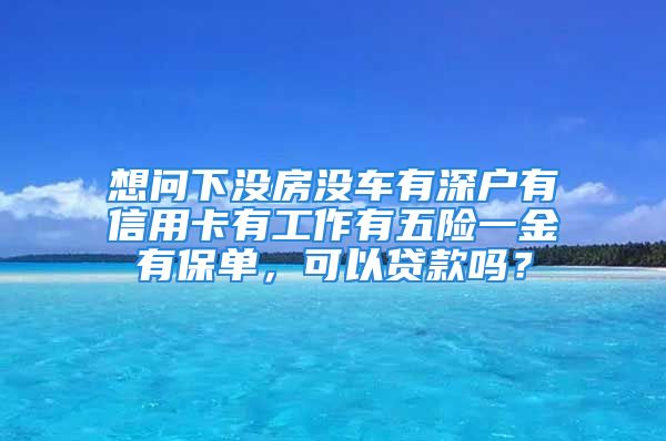 想問(wèn)下沒(méi)房沒(méi)車(chē)有深戶(hù)有信用卡有工作有五險(xiǎn)一金有保單，可以貸款嗎？