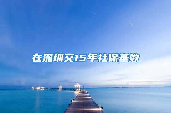 在深圳交15年社?；鶖?shù)