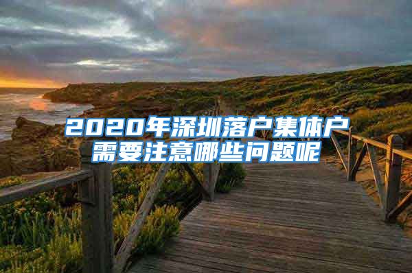 2020年深圳落戶(hù)集體戶(hù)需要注意哪些問(wèn)題呢