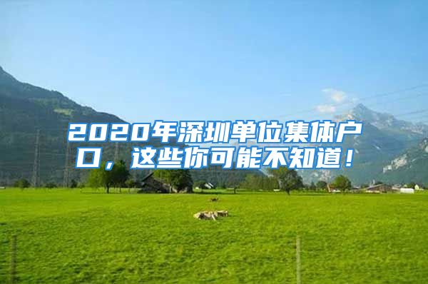 2020年深圳單位集體戶口，這些你可能不知道！