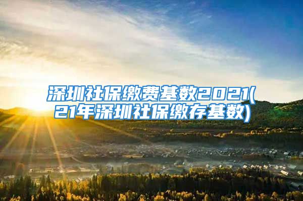 深圳社保繳費基數(shù)2021(21年深圳社保繳存基數(shù))