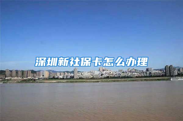 深圳新社?？ㄔ趺崔k理