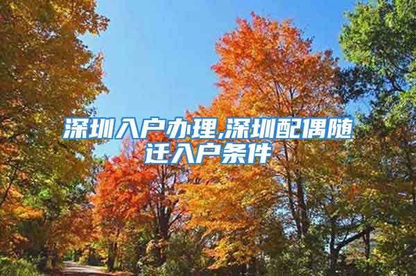 深圳入戶辦理,深圳配偶隨遷入戶條件