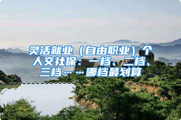 靈活就業(yè)（自由職業(yè)）個(gè)人交社保：一檔、二檔、三檔……哪檔最劃算