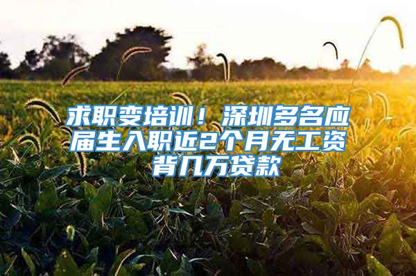 求職變培訓(xùn)！深圳多名應(yīng)屆生入職近2個月無工資 背幾萬貸款