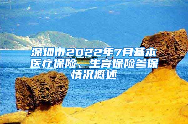 深圳市2022年7月基本醫(yī)療保險(xiǎn)、生育保險(xiǎn)參保情況概述