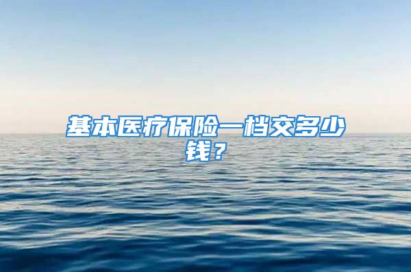 基本醫(yī)療保險一檔交多少錢？