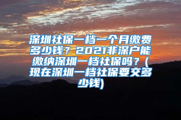 深圳社保一檔一個月繳費多少錢？2021非深戶能繳納深圳一檔社保嗎？(現(xiàn)在深圳一檔社保要交多少錢)