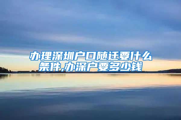 辦理深圳戶口隨遷要什么條件,辦深戶要多少錢