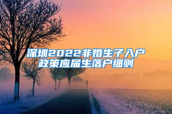 深圳2022非婚生子入戶政策應(yīng)屆生落戶細(xì)則