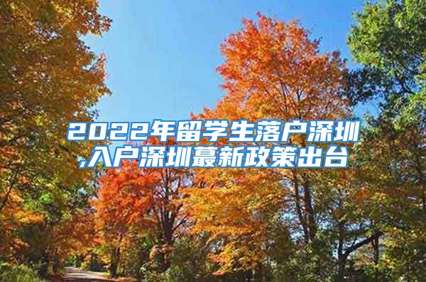 2022年留學(xué)生落戶深圳,入戶深圳蕞新政策出臺(tái)