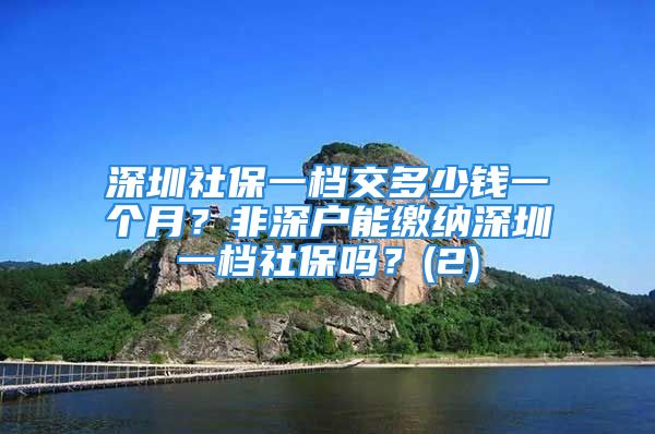 深圳社保一檔交多少錢一個月？非深戶能繳納深圳一檔社保嗎？(2)