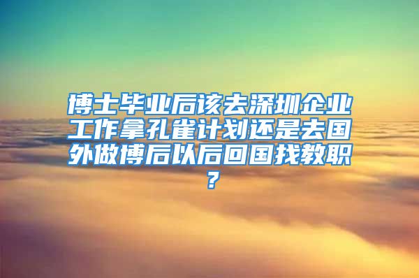 博士畢業(yè)后該去深圳企業(yè)工作拿孔雀計(jì)劃還是去國(guó)外做博后以后回國(guó)找教職？