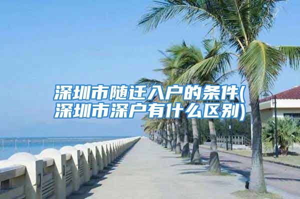 深圳市隨遷入戶(hù)的條件(深圳市深戶(hù)有什么區(qū)別)