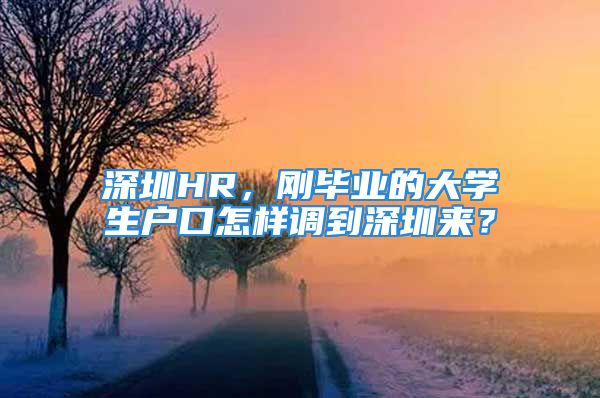 深圳HR，剛畢業(yè)的大學生戶口怎樣調(diào)到深圳來？