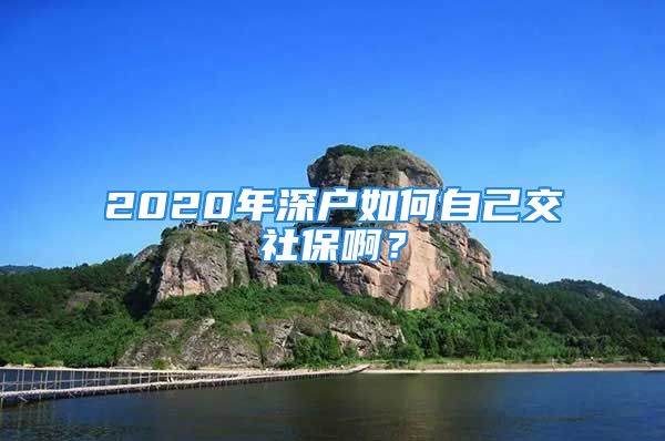 2020年深戶如何自己交社保啊？