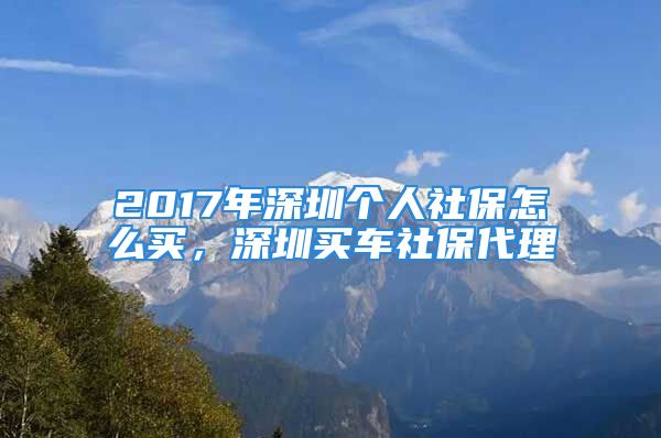 2017年深圳個人社保怎么買，深圳買車社保代理