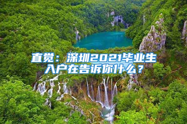 直覺(jué)：深圳2021畢業(yè)生入戶在告訴你什么？