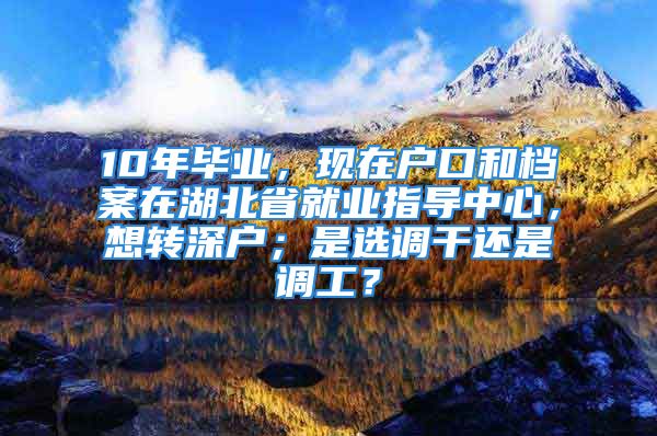 10年畢業(yè)，現(xiàn)在戶口和檔案在湖北省就業(yè)指導(dǎo)中心，想轉(zhuǎn)深戶；是選調(diào)干還是調(diào)工？