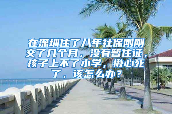 在深圳住了八年社保剛剛交了幾個(gè)月，沒(méi)有暫住證，孩子上不了小學(xué)，揪心死了，該怎么辦？