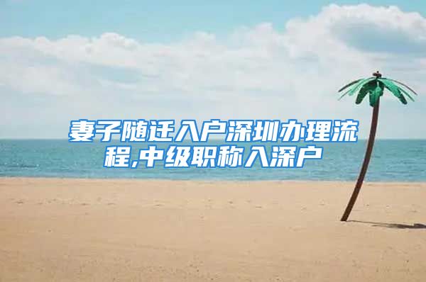 妻子隨遷入戶深圳辦理流程,中級職稱入深戶