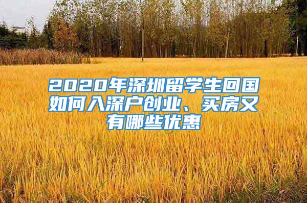 2020年深圳留學(xué)生回國如何入深戶創(chuàng)業(yè)、買房又有哪些優(yōu)惠