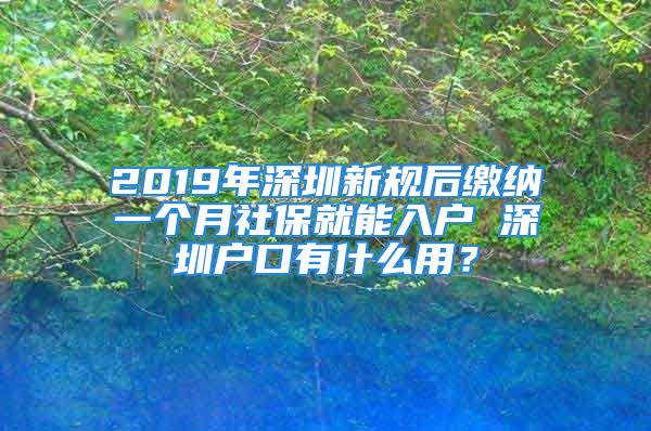 2019年深圳新規(guī)后繳納一個月社保就能入戶 深圳戶口有什么用？