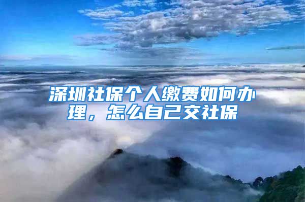 深圳社保個(gè)人繳費(fèi)如何辦理，怎么自己交社保